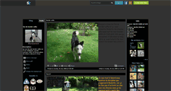 Desktop Screenshot of bordercollie28.skyrock.com