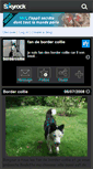 Mobile Screenshot of bordercollie28.skyrock.com