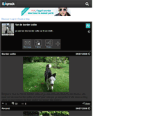 Tablet Screenshot of bordercollie28.skyrock.com