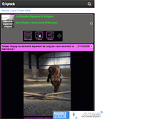 Tablet Screenshot of domaine-equestre-calypso.skyrock.com