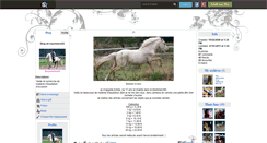 Desktop Screenshot of equimatos56.skyrock.com