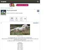 Tablet Screenshot of equimatos56.skyrock.com