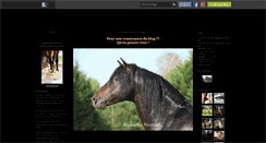 Desktop Screenshot of photoequine.skyrock.com