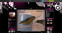 Desktop Screenshot of chancecat.skyrock.com