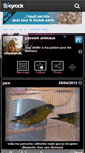 Mobile Screenshot of chancecat.skyrock.com