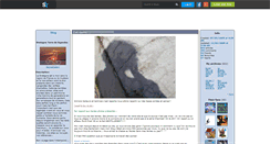 Desktop Screenshot of dameshadow.skyrock.com