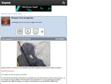 Tablet Screenshot of dameshadow.skyrock.com