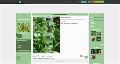 Desktop Screenshot of ophrysmouche.skyrock.com