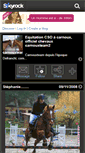Mobile Screenshot of carnouxteam2.skyrock.com