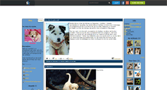 Desktop Screenshot of chien60.skyrock.com