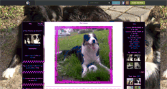 Desktop Screenshot of bordercollie-louna.skyrock.com