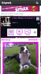 Mobile Screenshot of bordercollie-louna.skyrock.com