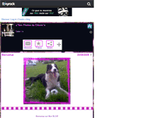 Tablet Screenshot of bordercollie-louna.skyrock.com