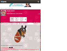 Tablet Screenshot of boutik-schleich.skyrock.com