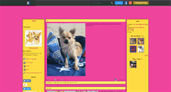 Desktop Screenshot of chihuahualand.skyrock.com