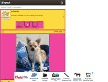 Tablet Screenshot of chihuahualand.skyrock.com