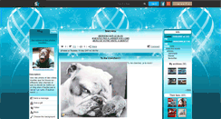 Desktop Screenshot of insolitenphotoetvideo.skyrock.com