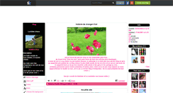 Desktop Screenshot of la-boite-a-trucs.skyrock.com