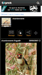 Mobile Screenshot of chardonneret-agadir.skyrock.com