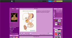 Desktop Screenshot of nin55.skyrock.com