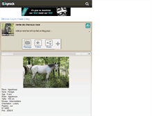 Tablet Screenshot of chevauxavendrerace.skyrock.com