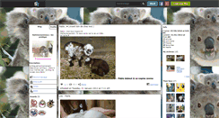 Desktop Screenshot of naturexnanimaux.skyrock.com