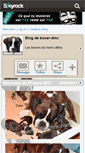 Mobile Screenshot of boxer-dmc.skyrock.com