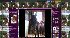 Desktop Screenshot of fandechevaux0712.skyrock.com