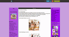 Desktop Screenshot of celine-nintendogs.skyrock.com