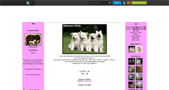 Desktop Screenshot of c0ncours-pets.skyrock.com