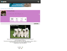 Tablet Screenshot of c0ncours-pets.skyrock.com