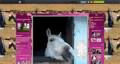 Desktop Screenshot of le-cheval-ses-ma-vie.skyrock.com